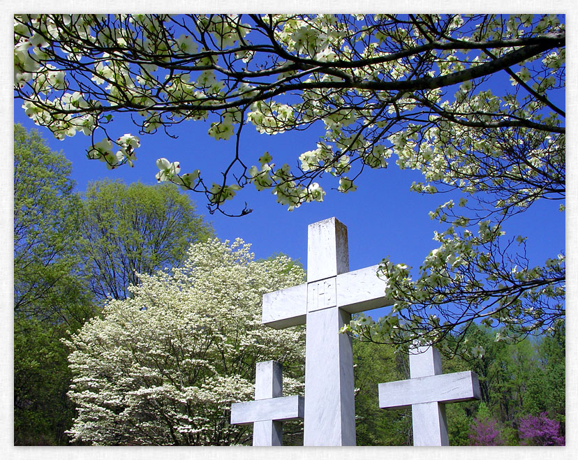 Faith Memorial Park Crosses - Madison, AL.